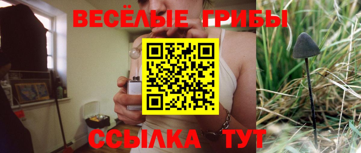 Псилоцибиновые грибы Psilocybine cubensis Людиново