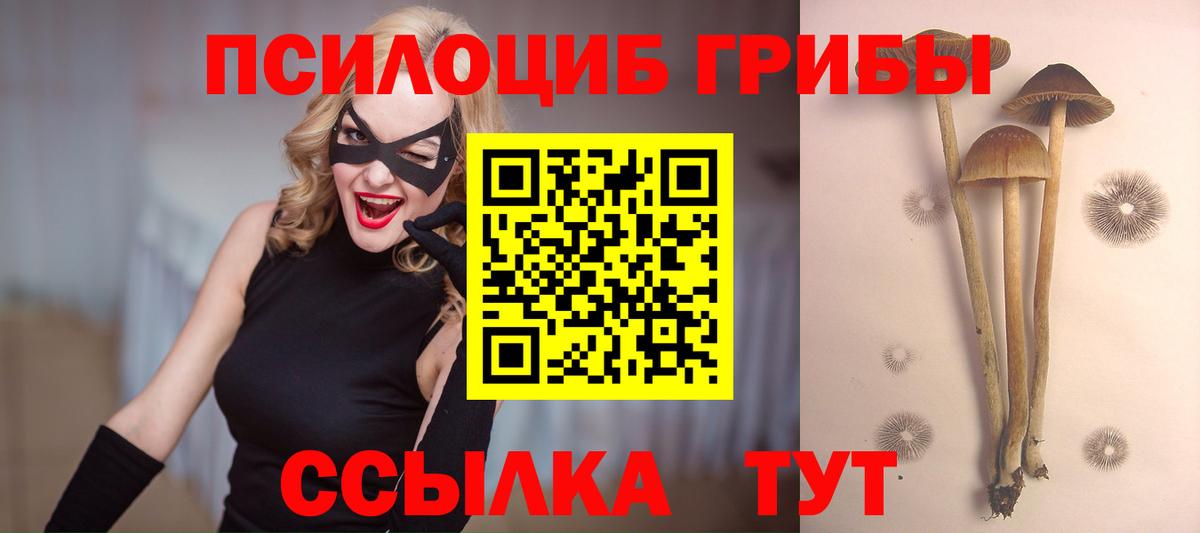 Псилоцибиновые грибы Psilocybine cubensis  Вход с VPN  Людиново 